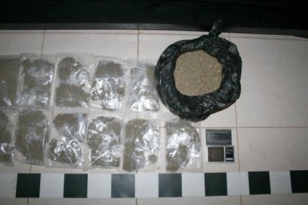 Doi tineri din Constanţa au fost prinşi cu etnobotanice asupra lor
